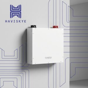 Dyness DL5.0C Lithium Battery 51.2V 100Ah 5.12kWh | 6000 Cycles & 7-Year Warranty - Haviskye