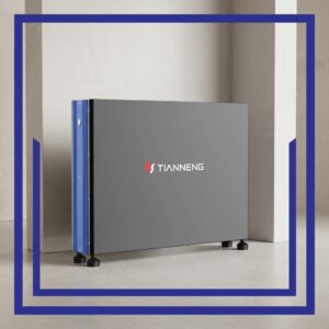 Tianneng 5kWh Lithium-ion Battery 51.2V 100Ah | Wall & Floor Mount Solar Storage - Haviskye