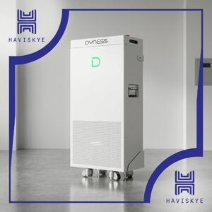 Dyness PowerBrick Max 16.08kWh Lithium Battery 51.2V 314Ah | 8000 Cycles, Smart App & Fire Safety - Haviskye